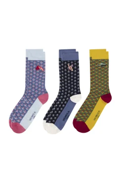 Femme Vicomte A Chaussettes | Chaussettes^Coffret Chaussettes