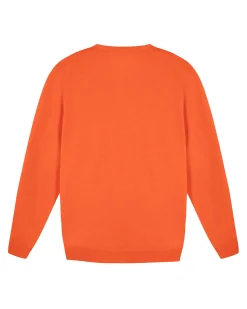 Homme Vicomte A Pulls^Pull Col Rond