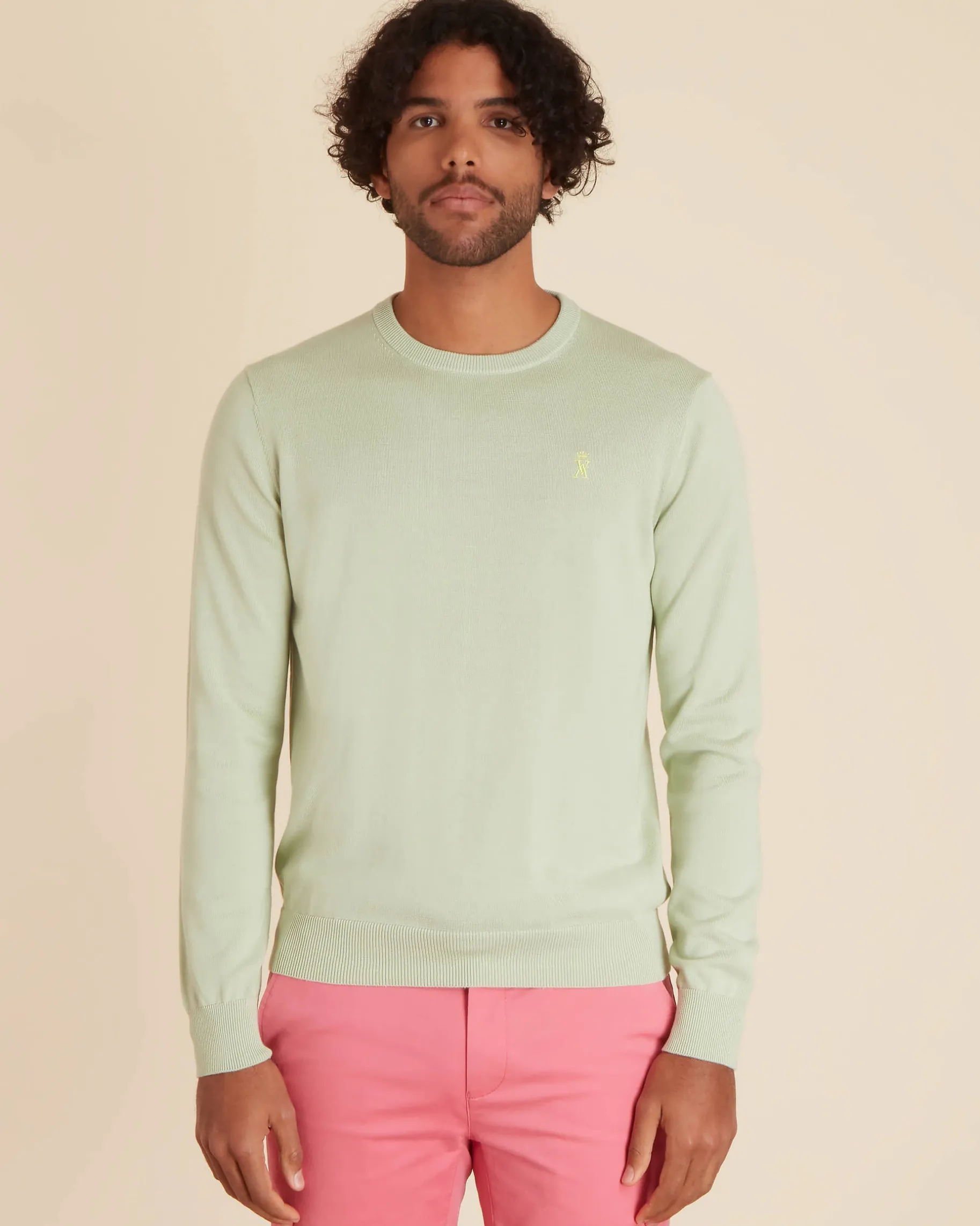 Homme Vicomte A Pulls^Pull Col Rond Uni