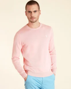 Homme Vicomte A Pulls^Pull Col Rond Uni