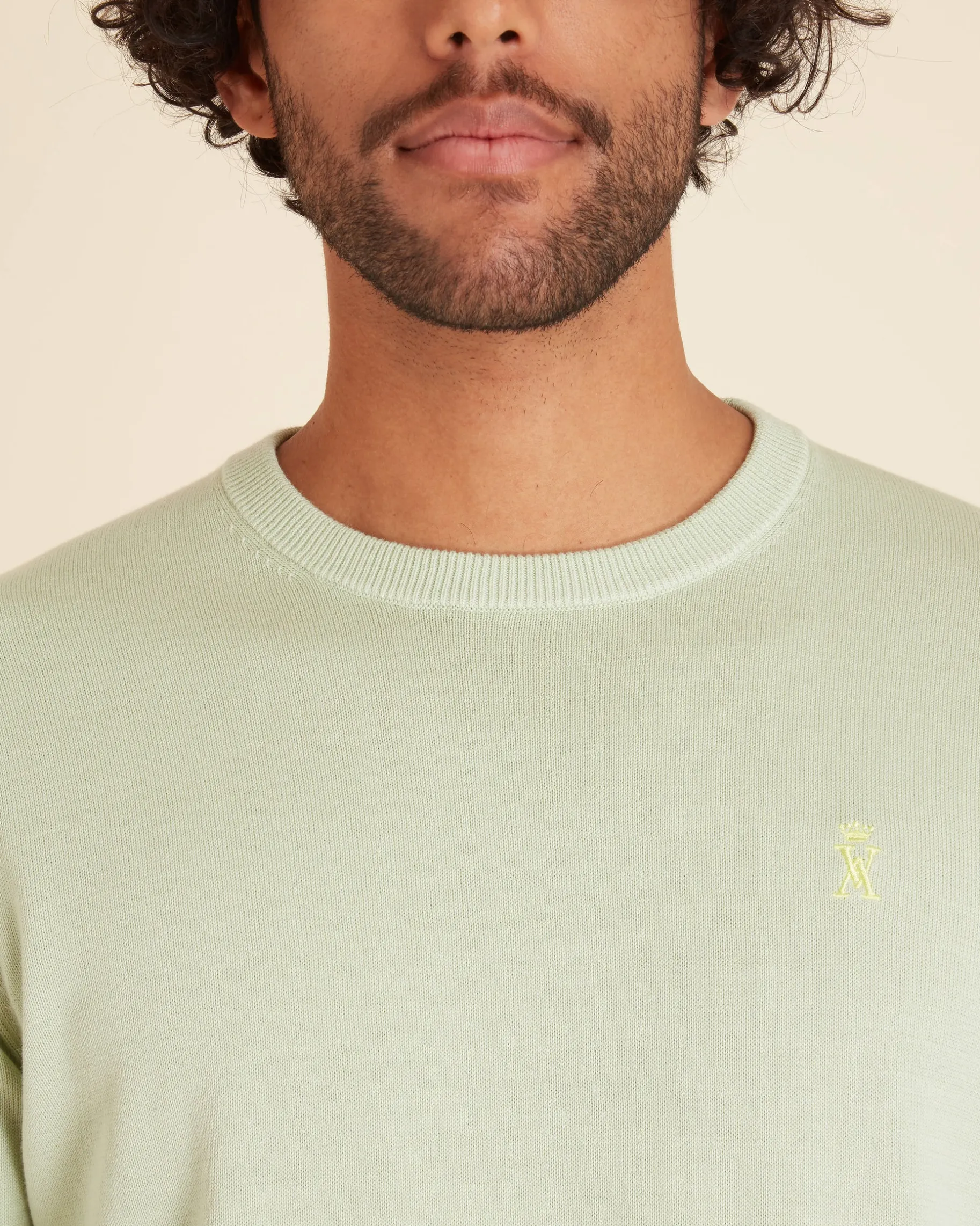Homme Vicomte A Pulls^Pull Col Rond Uni